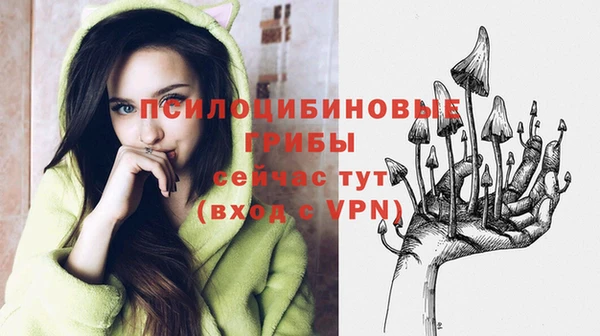 винт Арсеньев