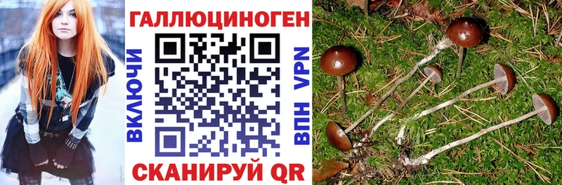 Галлюциногенные грибы ЛСД  Тюкалинск 